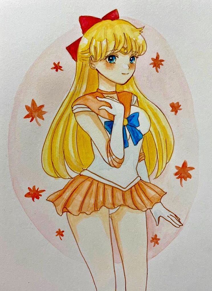 Amazon.co.jp: 同人手描きイラスト セーラームーン セーラーヴィーナス